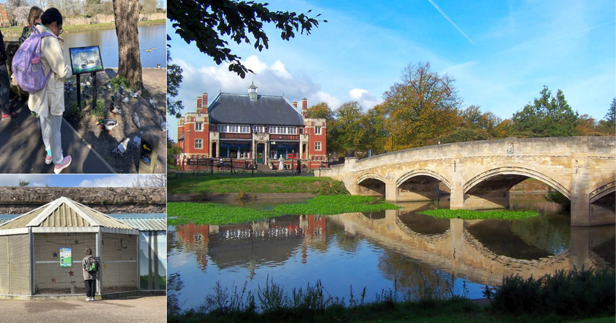 Abbey Park Collage